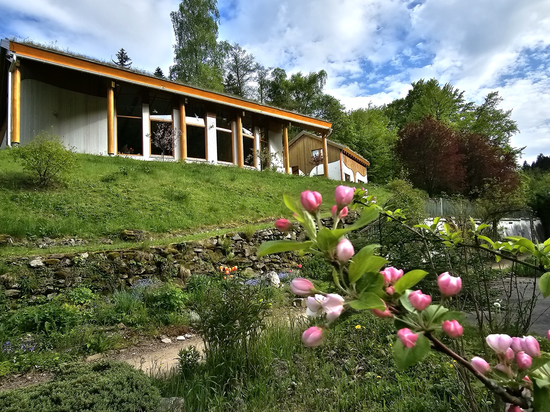 Frühlingsblüte